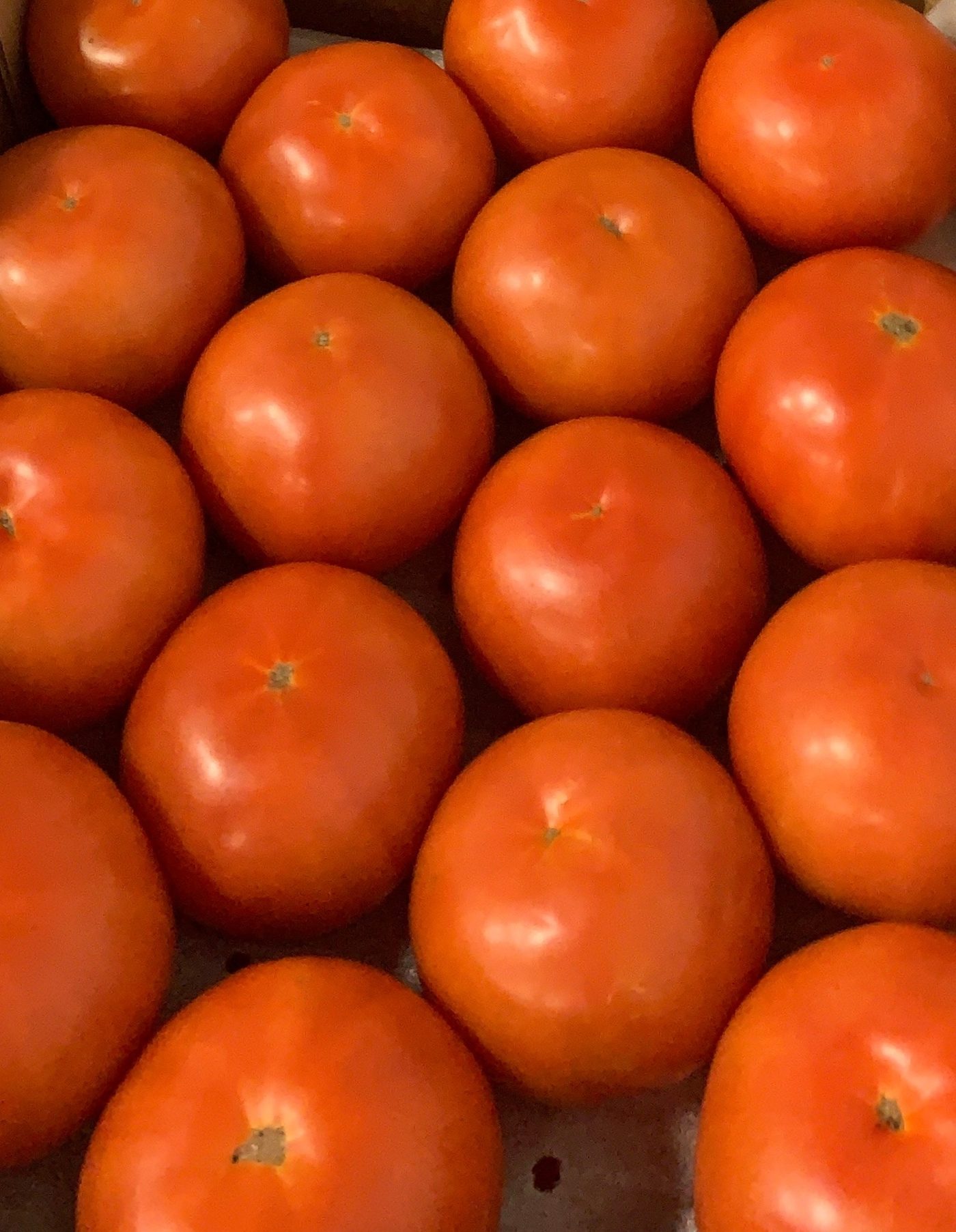 Round tomatoes, boxed