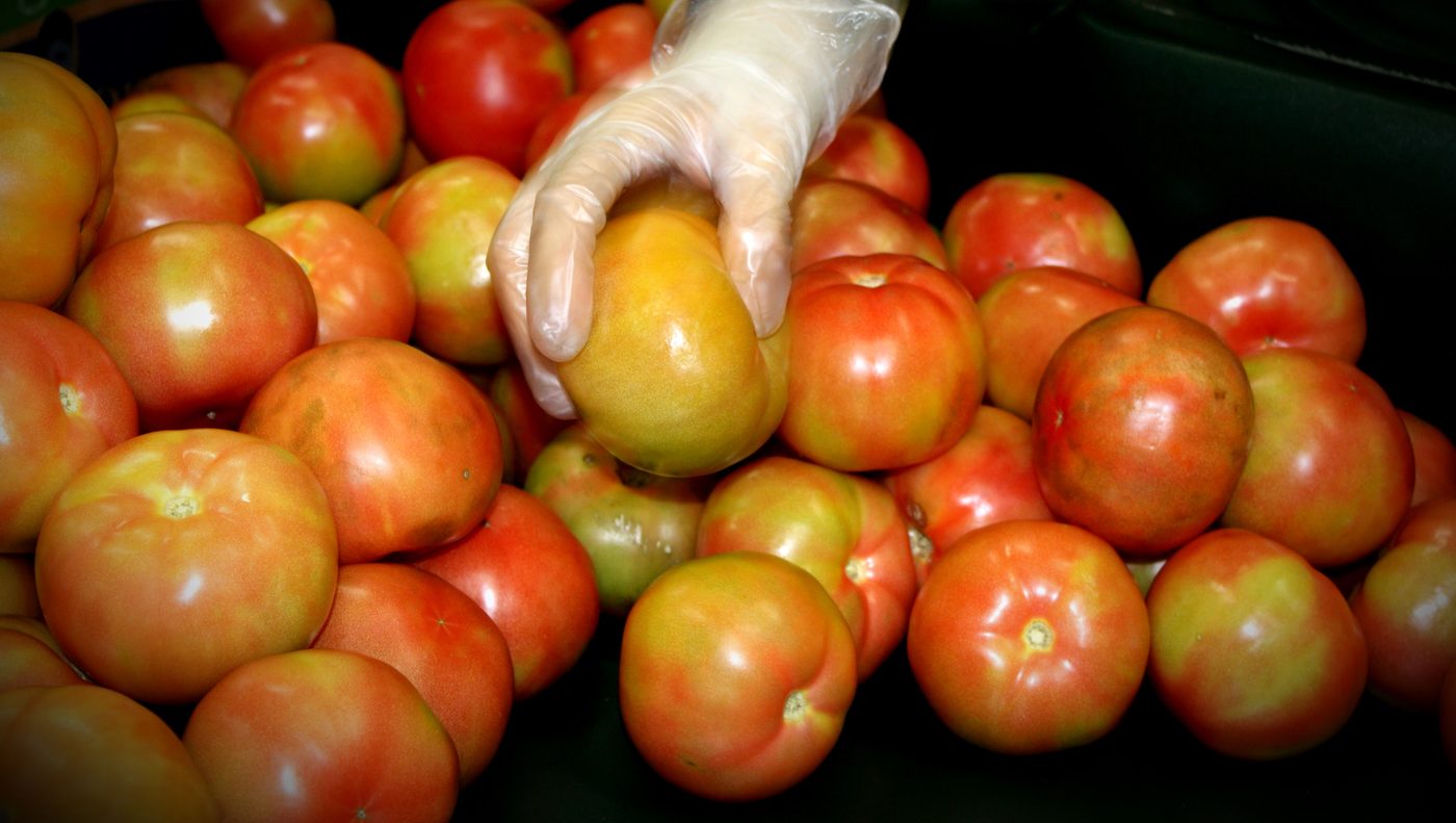 Produce inspection and repack