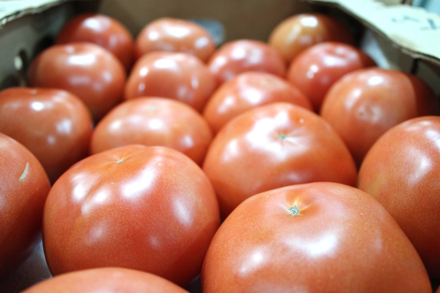 Roma tomatoes